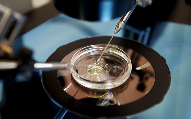 Mandatory Credit: Photo by Monkey Business Images/REX Shutterstock (3504111a) Laboratory Fertilization Of Eggs In IVF Treatment VARIOUS